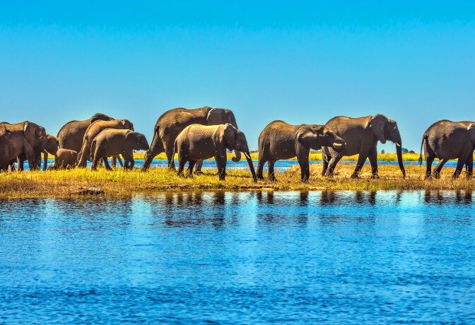 Excursiereis Botswana