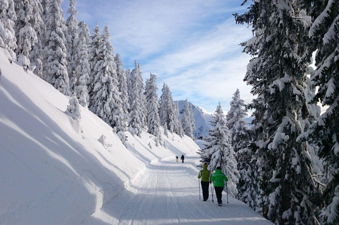 Langlauf- en wandelreis Brandenberg in Tirol