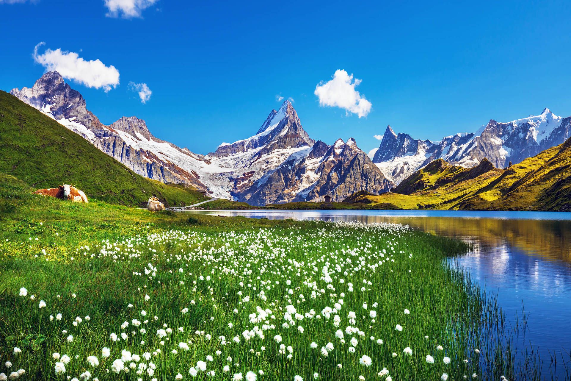 De mooiste Alpentoppen van Zwitserland, Meiringen