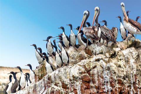 18-daagse rondreis Mystiek Peru