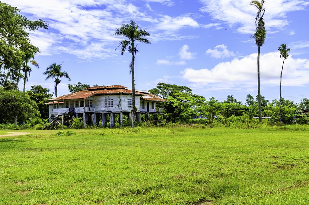 11-daagse rondreis A Taste of Suriname