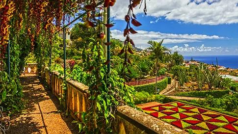 Cruise Canarische eilanden, Madeira en Lissabon