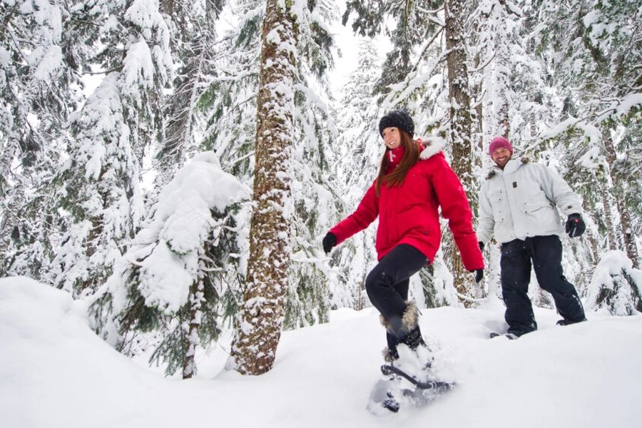 Sneeuwschoenwandeling langs de Medicine Trail vanaf Whistler
